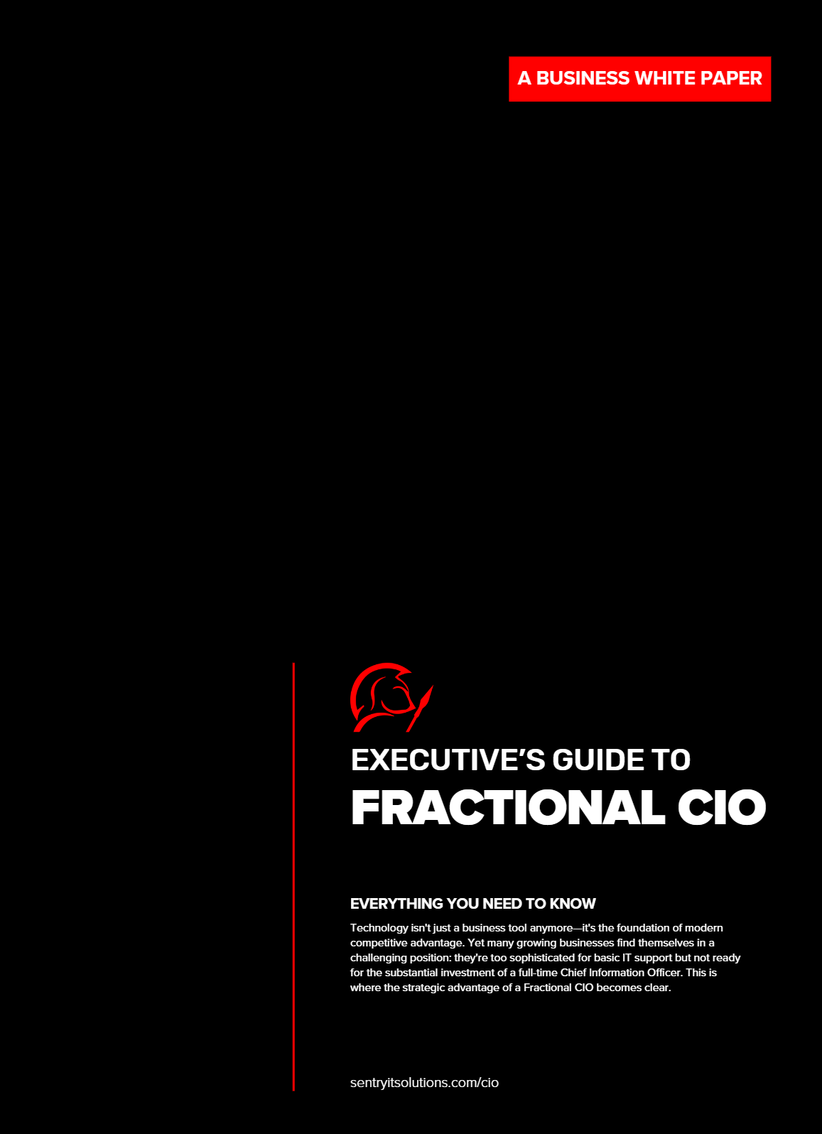 Guide to Fractional CIO