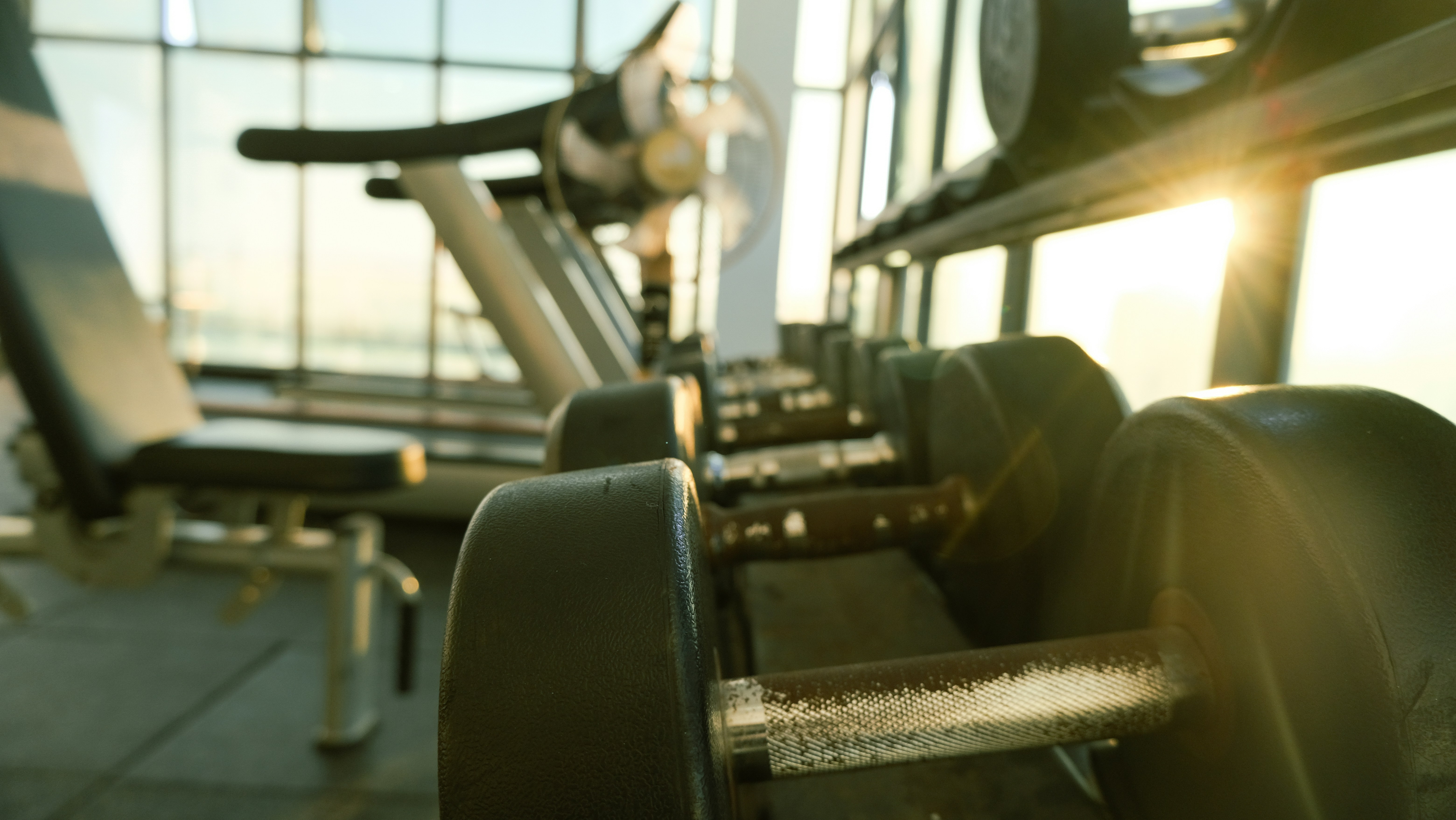 Fitness Business with cyber security