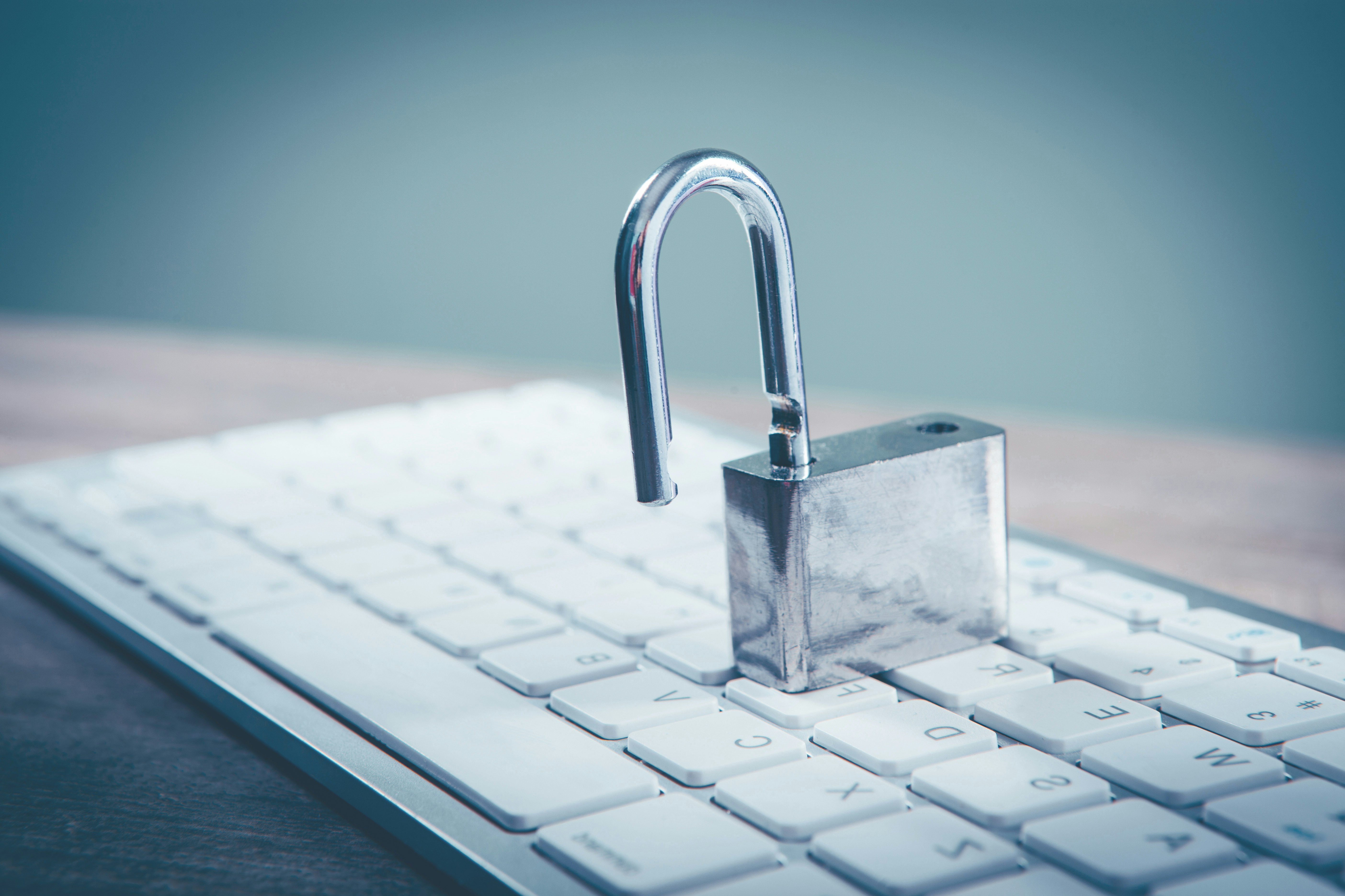 Lock down your business with cyber insurance