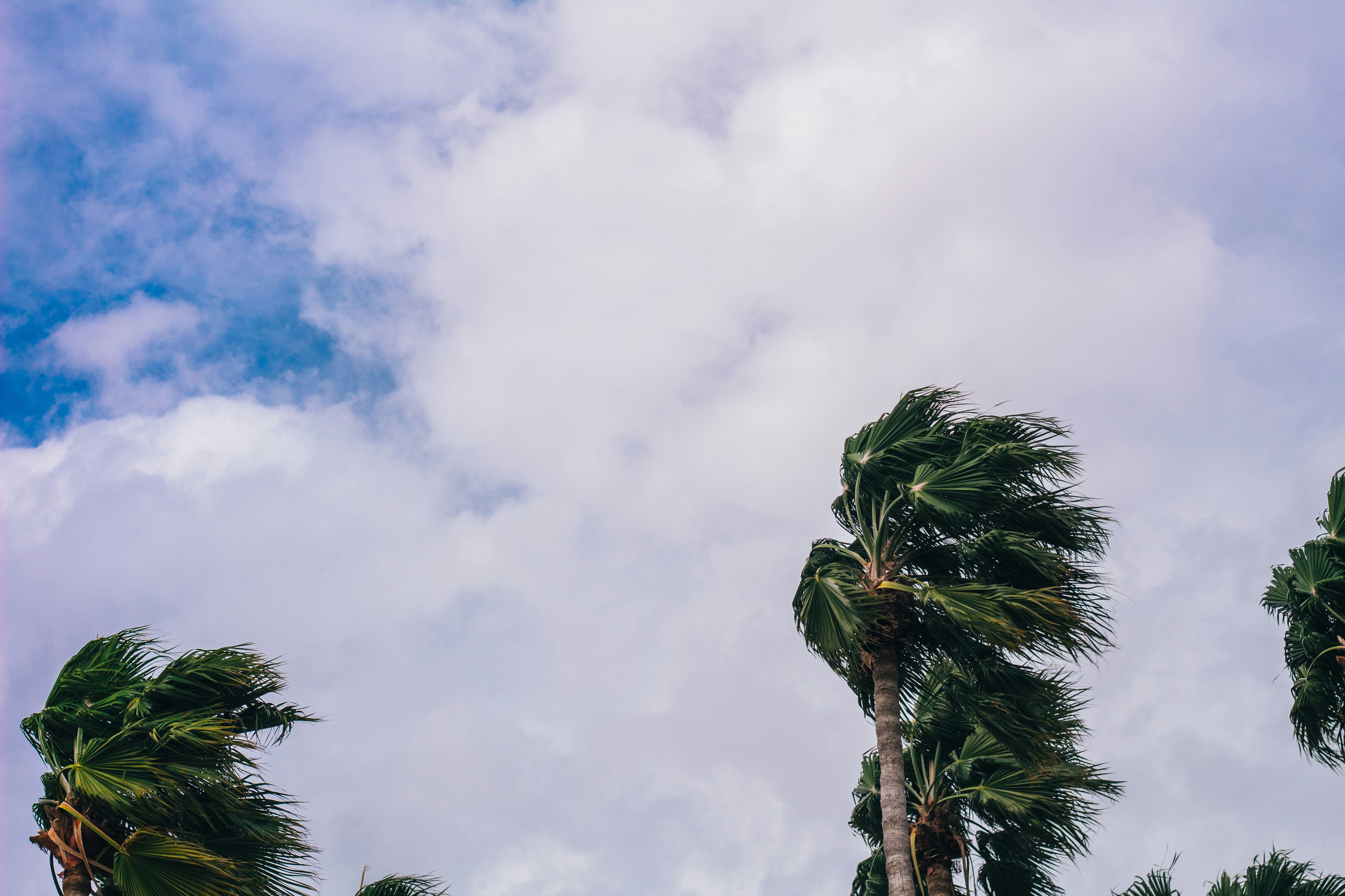 Prepare your business for Hurricane Season with Sentry Technology Solutions